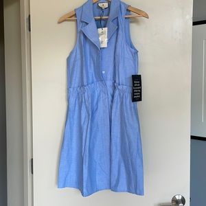 Tuckernuck Oxford Blue Sleeveless Royal Shirt Dress